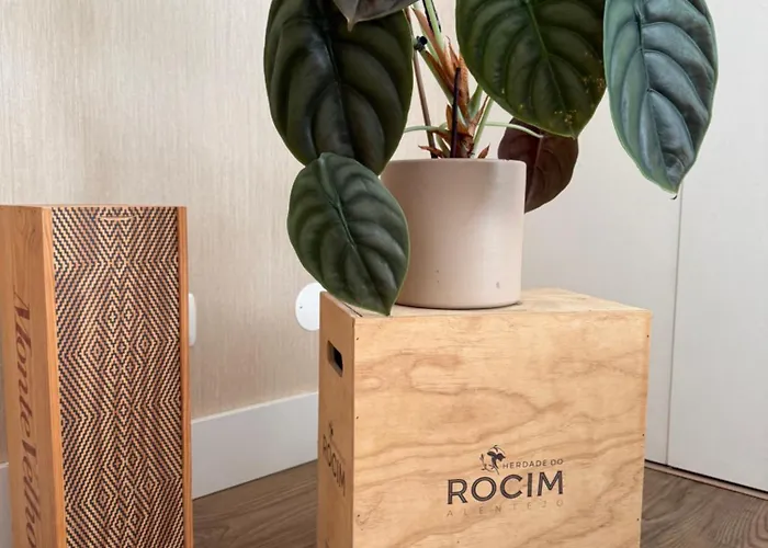 Fantastico T3 A 50 Metros Da エリセイラ